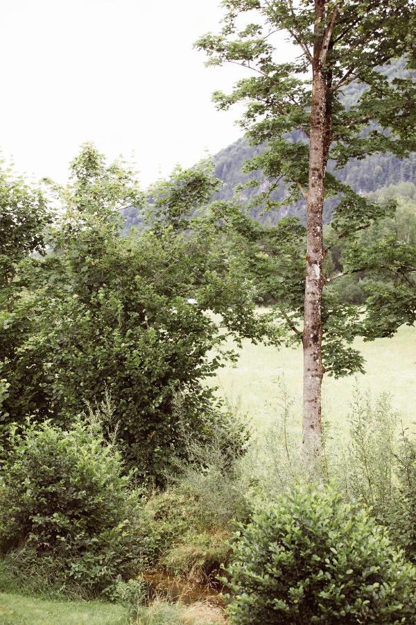 Bachbett - Modernes Gaestehaus Im Salzkammergut Bad Ischl Zewnętrze zdjęcie